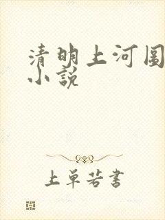 清明上河图密码小说封面