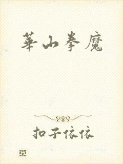 华山拳魔封面