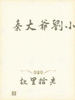 秦大爷刘小静