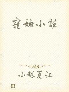 宠她小说封面