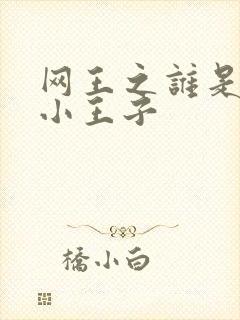 网王之谁是我的小王子
