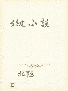 3级小说封面