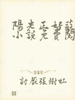 阳光正好苏玥玥小说免费阅读无弹窗