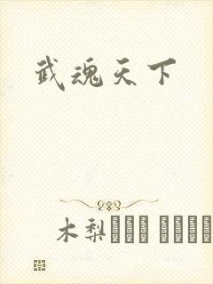 武魂天下