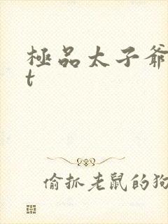 极品太子爷txt
