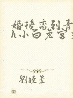 婚后脔到青梅哭h小白兔宫交h封面