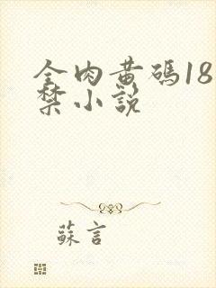 全肉黄码18无禁小说封面