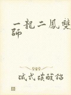 一龙二凤双飞老师