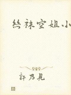 丝袜空姐小说