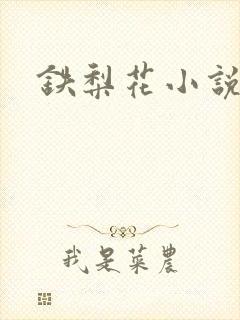 铁梨花小说