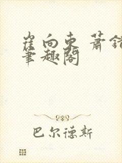 崔向东 萧错 笔趣阁