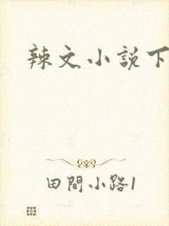 辣文小说下载