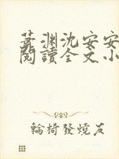 萧渊沈安安免费阅读全文小说