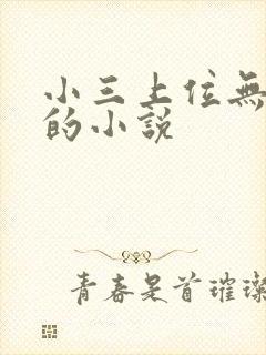 小三上位无三观的小说封面