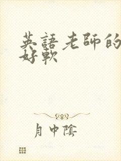 英语老师的兔子好软