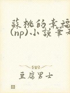 苏桃的幸福生活(np)小说笔趣阁沐沐