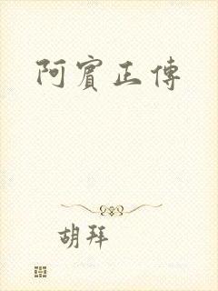 阿宾正传封面
