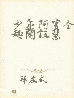 少年阿宾全文笔趣阁钰慧封面