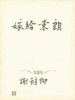 嫁给袁朗