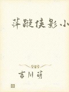 萍踪侠影小说