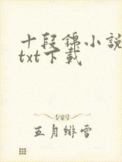 十段锦小说全本txt下载封面