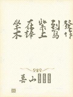 坐在紫到发黑的木棒上写作业