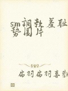sm调教羞耻姿势图片