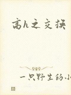 高h之交换封面