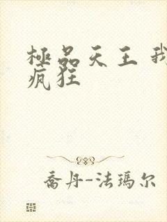 极品天王 我本疯狂封面