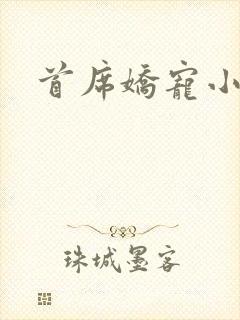 首席娇宠小情人