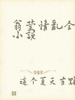 翁莹情乱全部篇小说封面