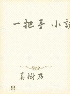 一把手 小说