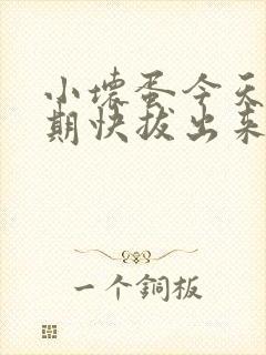 小坏蛋今天危险期快拔出来封面