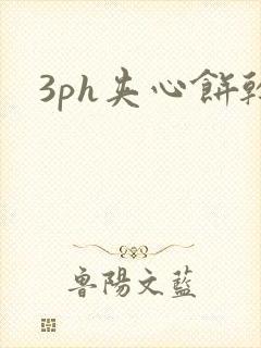 3ph夹心饼干