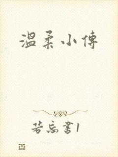 温柔小传封面