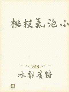 桃枝气泡小说