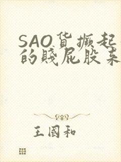 SAO货撅起你的贱屁股来