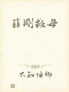 薛刚救母