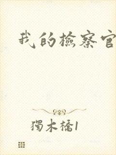 我的检察官先生