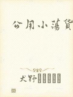 公用小荡货芊芊封面