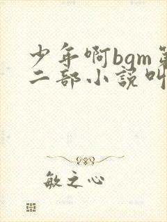 少年啊bgm第二部小说叫什么