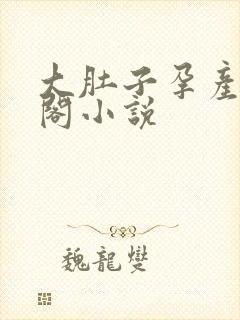 大肚子孕产笔趣阁小说