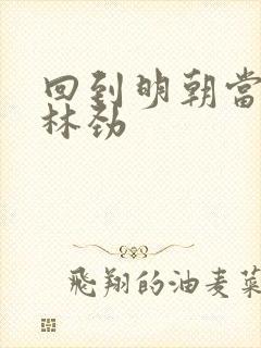 回到明朝当王爷林劲