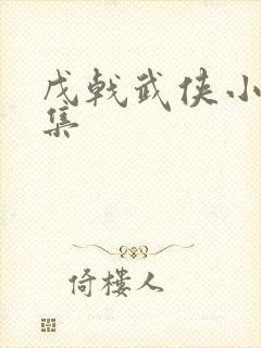 戊戟武侠小说全集封面