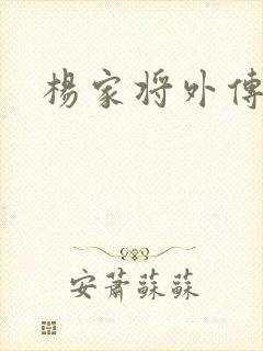 杨家将外传