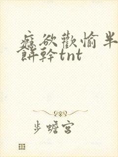 瘾欲欢愉半块小饼干tnt