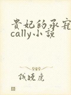 贵妃的承宠日常cally小说封面