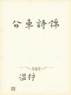 公车诗锦封面