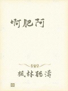 啊肥阿封面