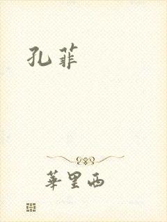 孔菲封面